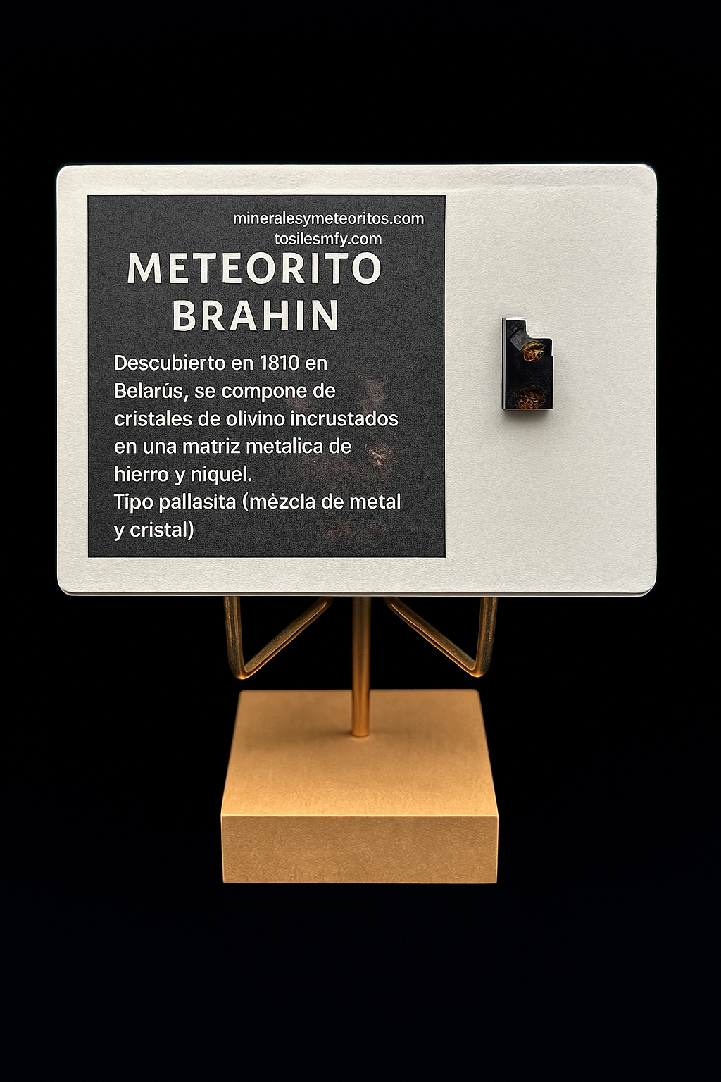 Meteorito Brahin