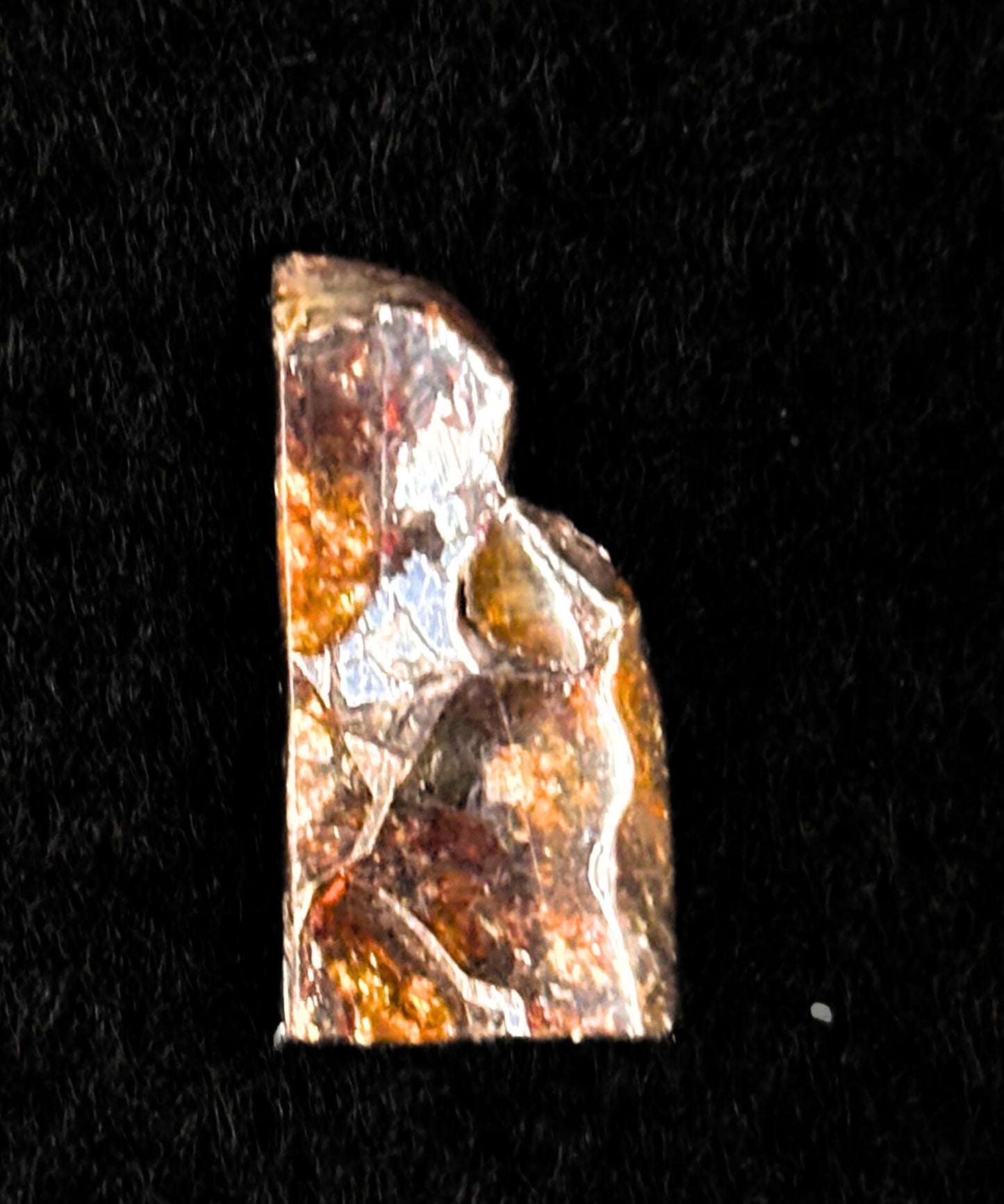 Meteorito Brahin