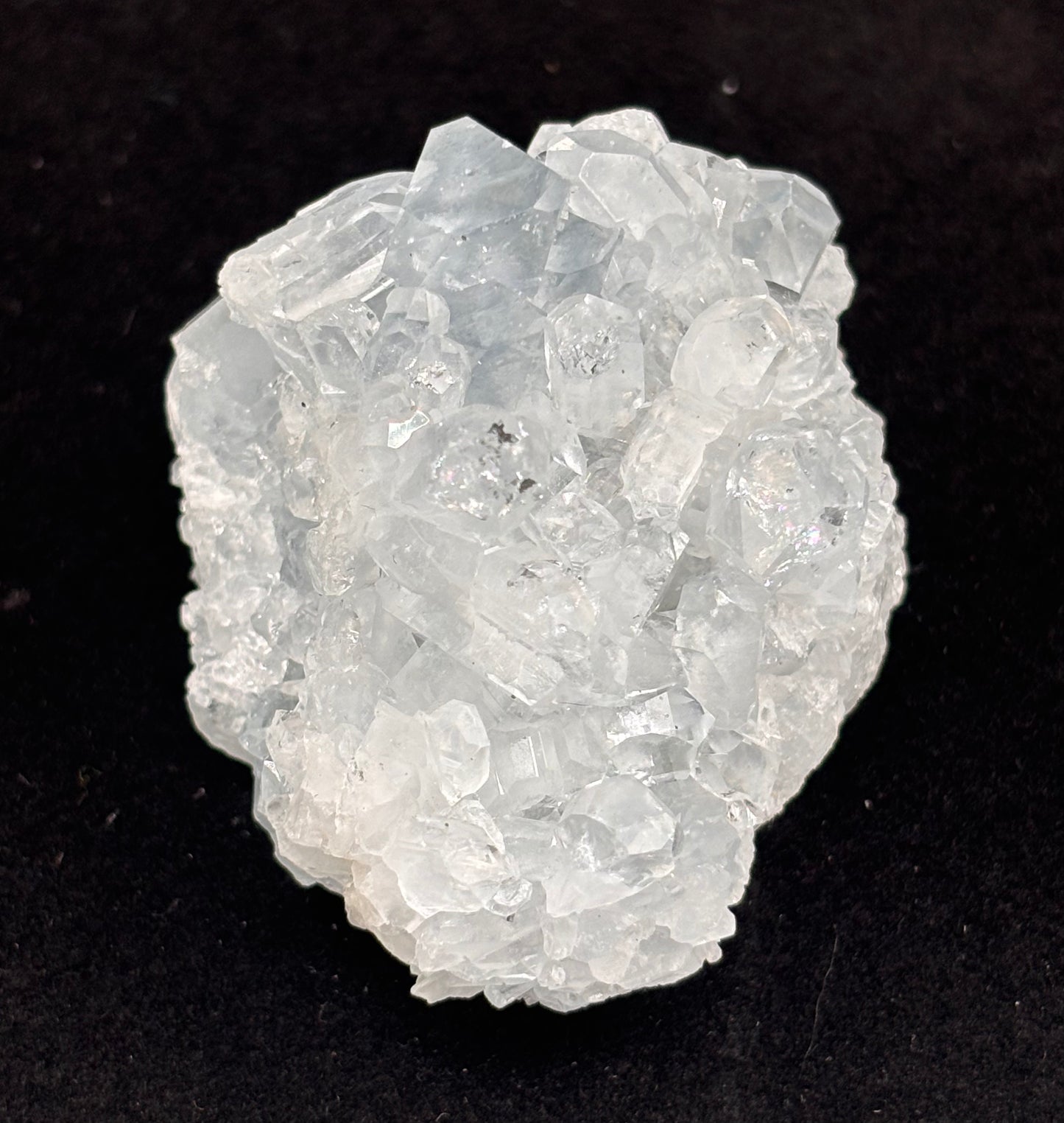 Celestita