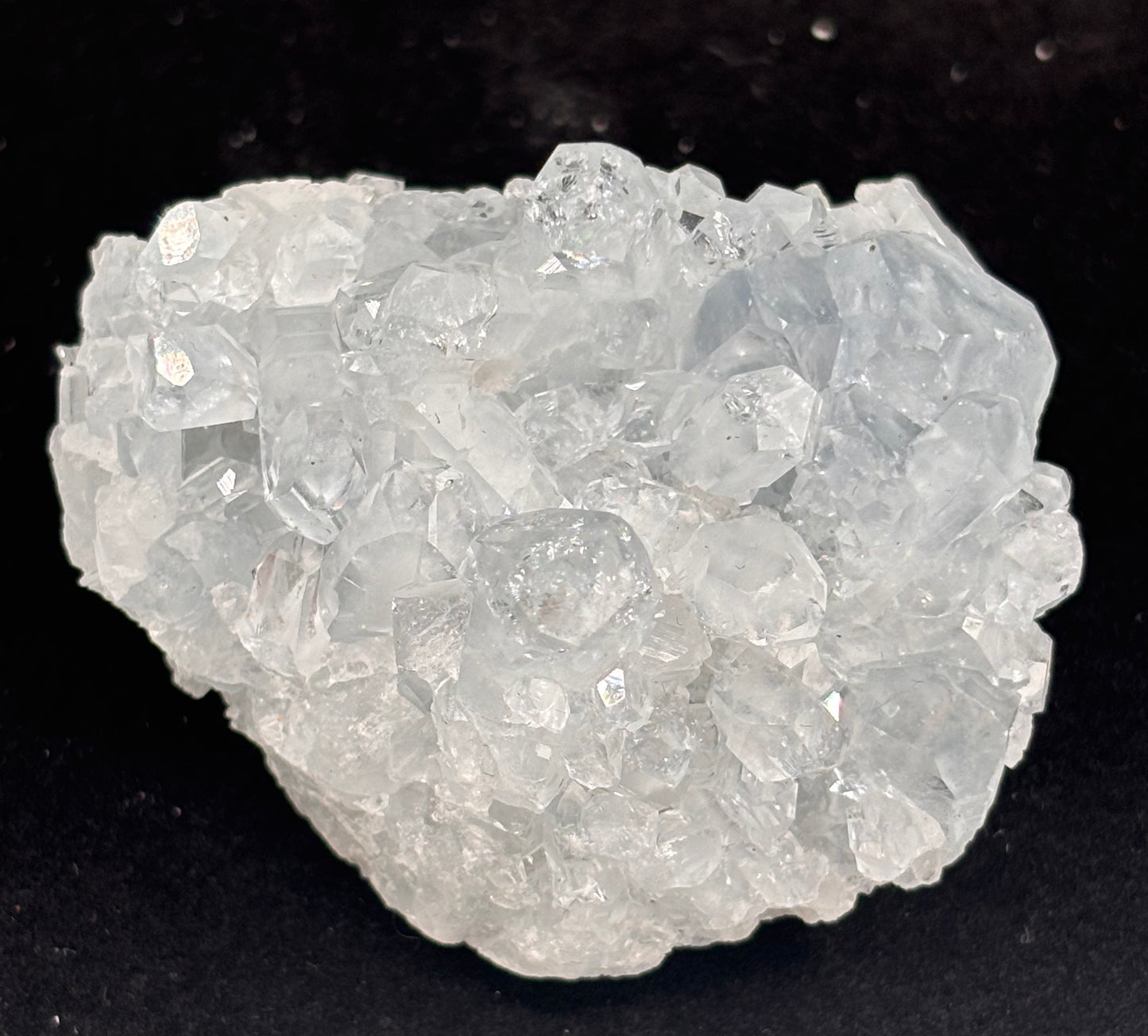 Celestita