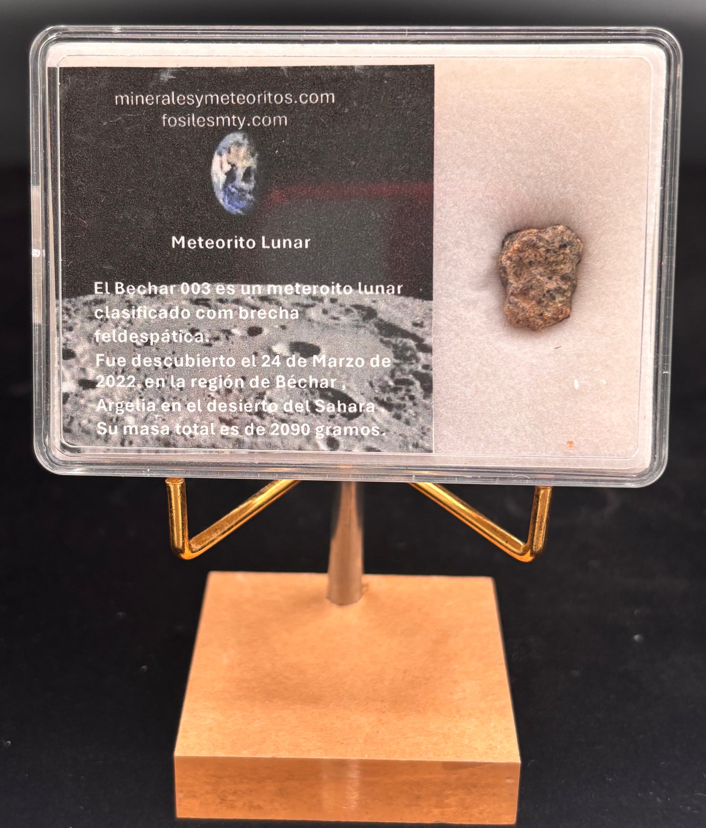 Meteorito Lunar