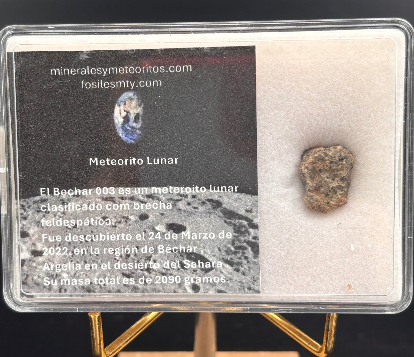 Meteorito Lunar