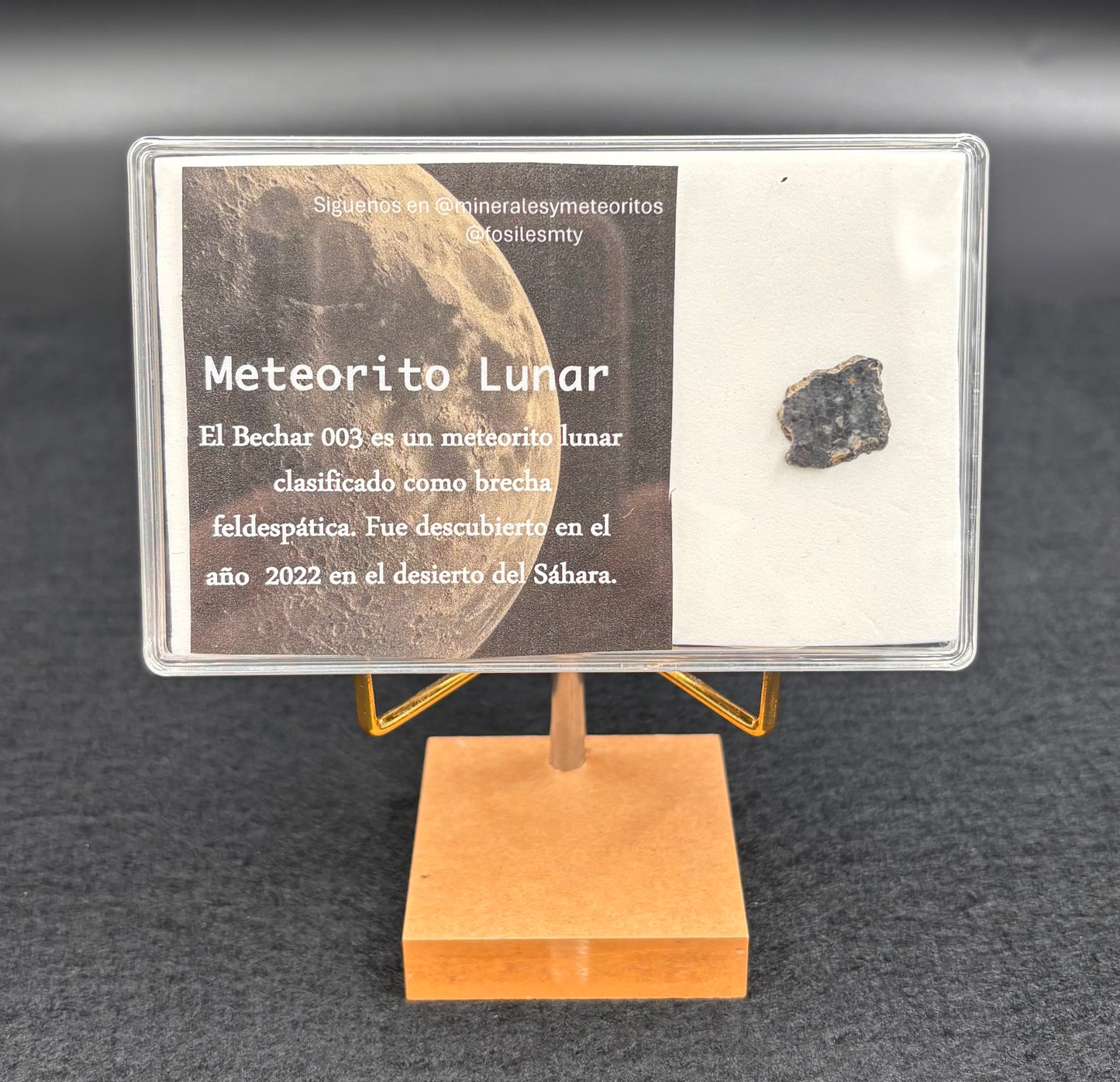 Meteorito Lunar