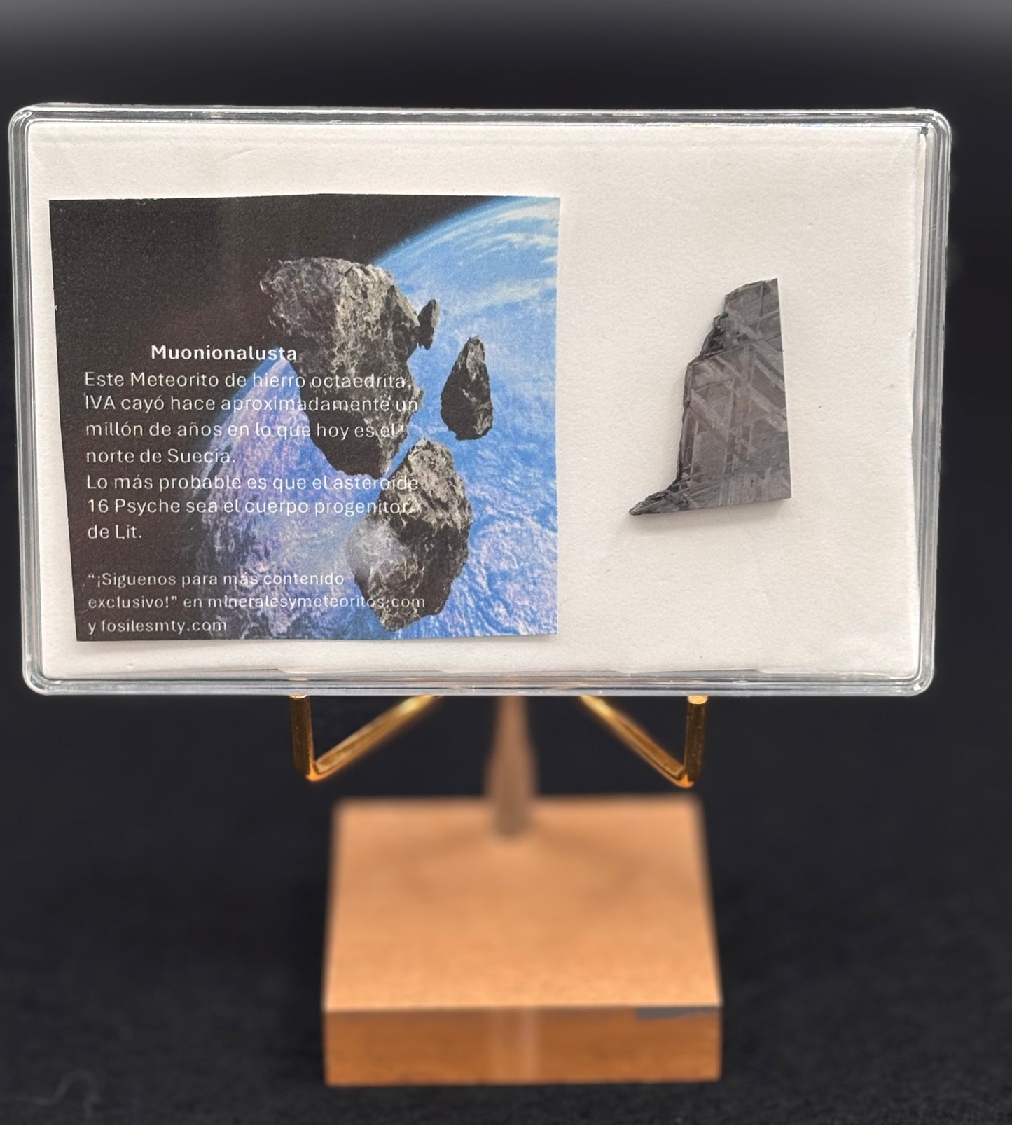 Meteorito Muonionalusta