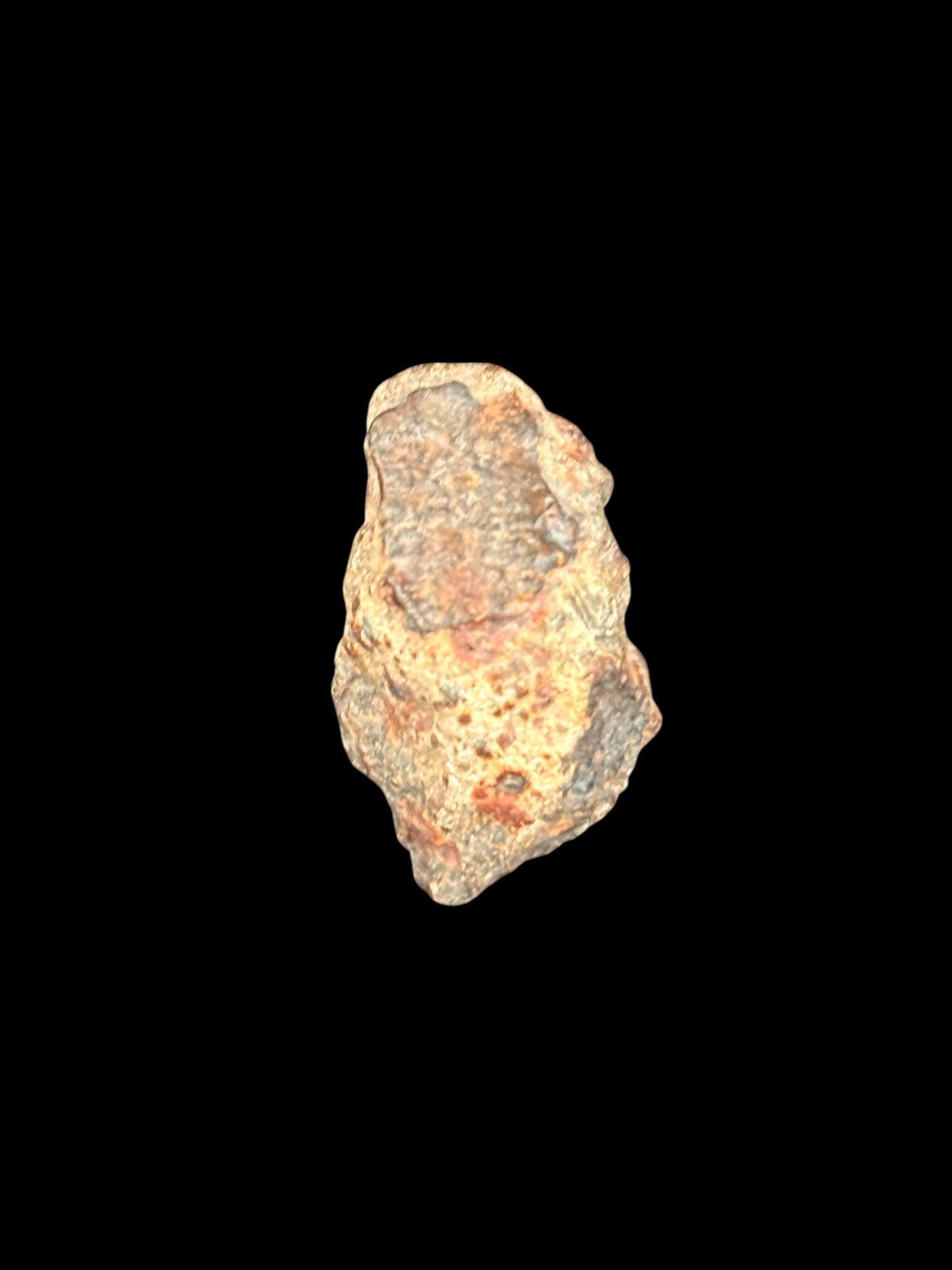 Meteorito NWA 869