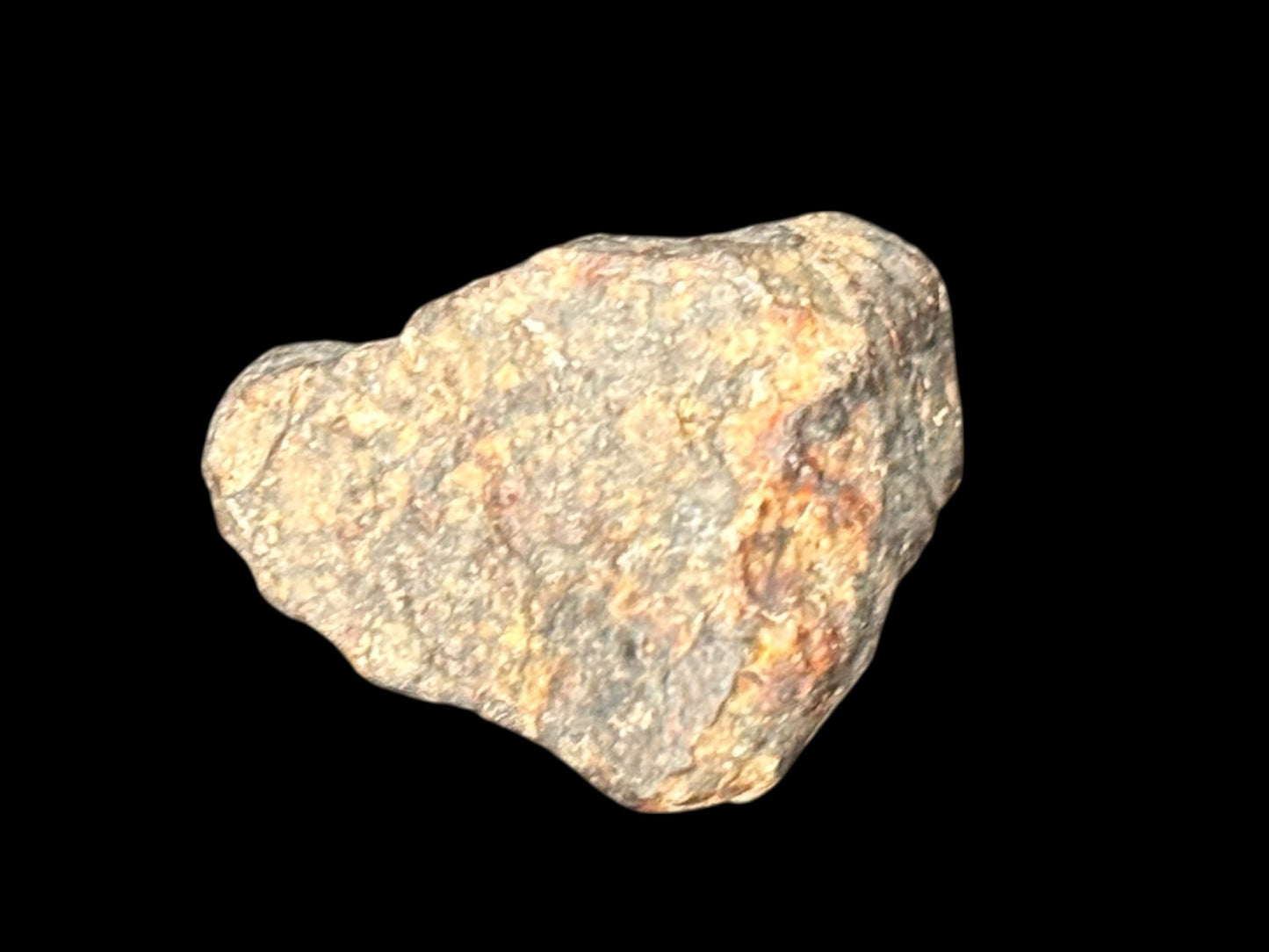 Meteorito NWA 869