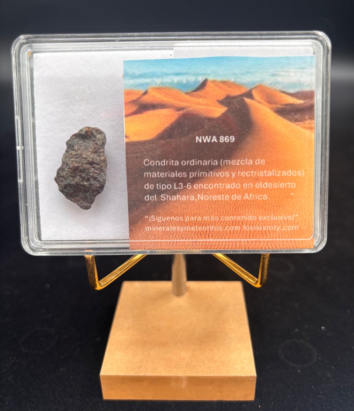 Meteorito NWA 869