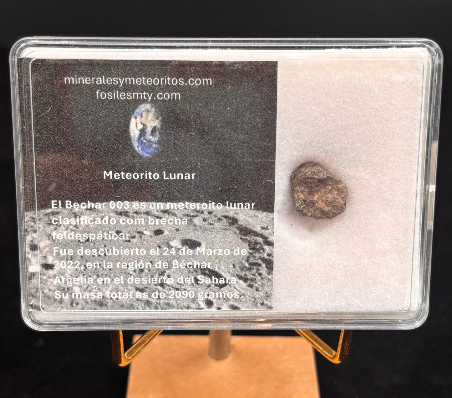 Meteorito Lunar
