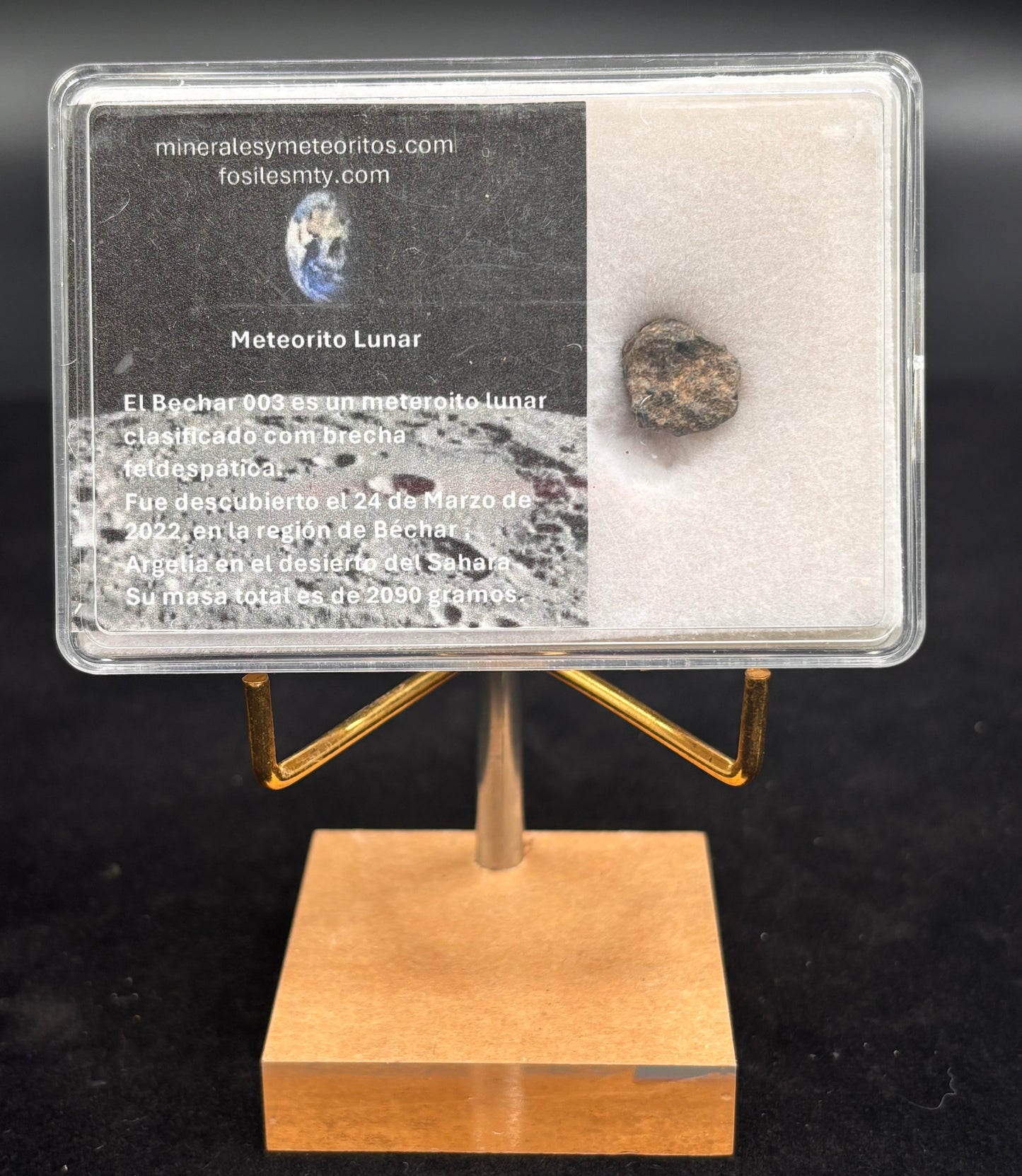 Meteorito Lunar