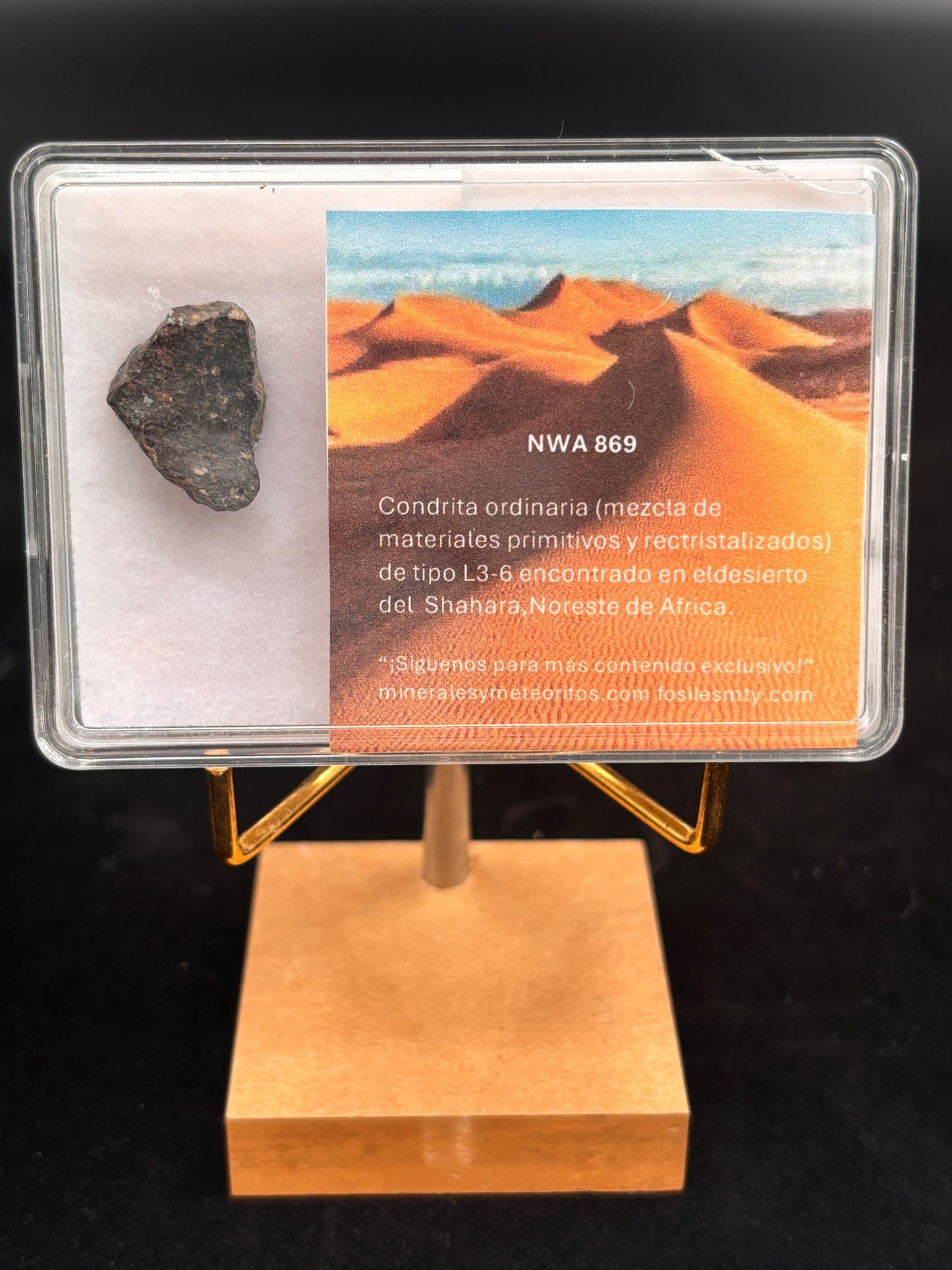Meteorito NWA 869