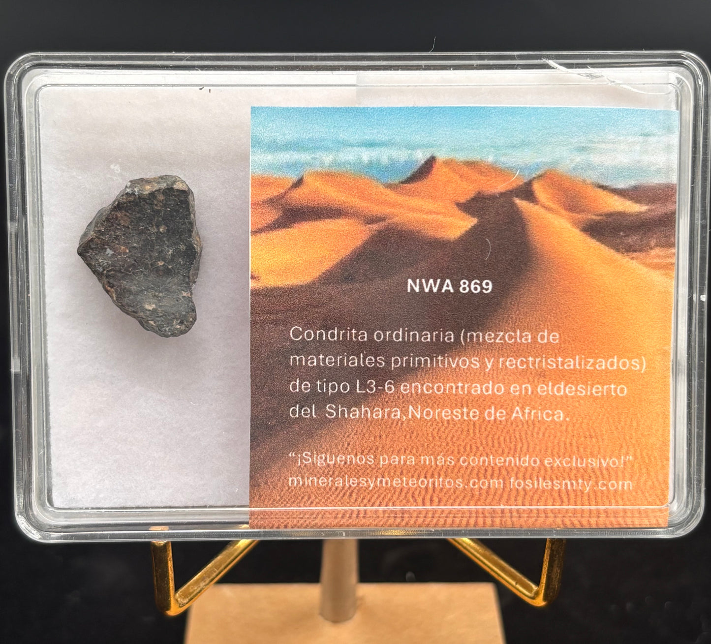 Meteorito NWA 869