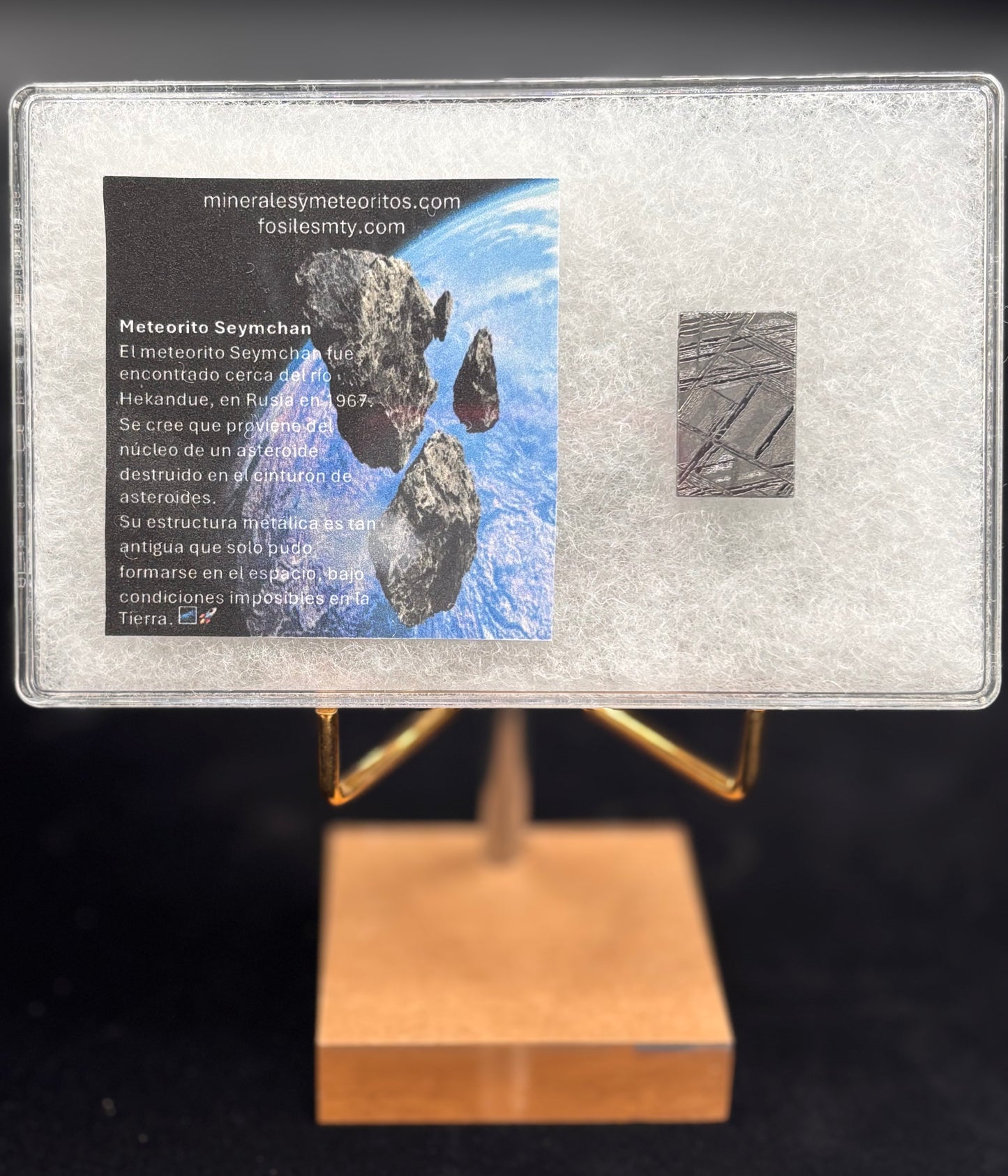 Meteorito Muonionalusta