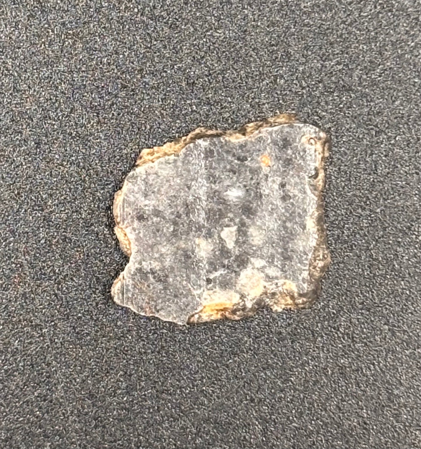 Meteorito Lunar