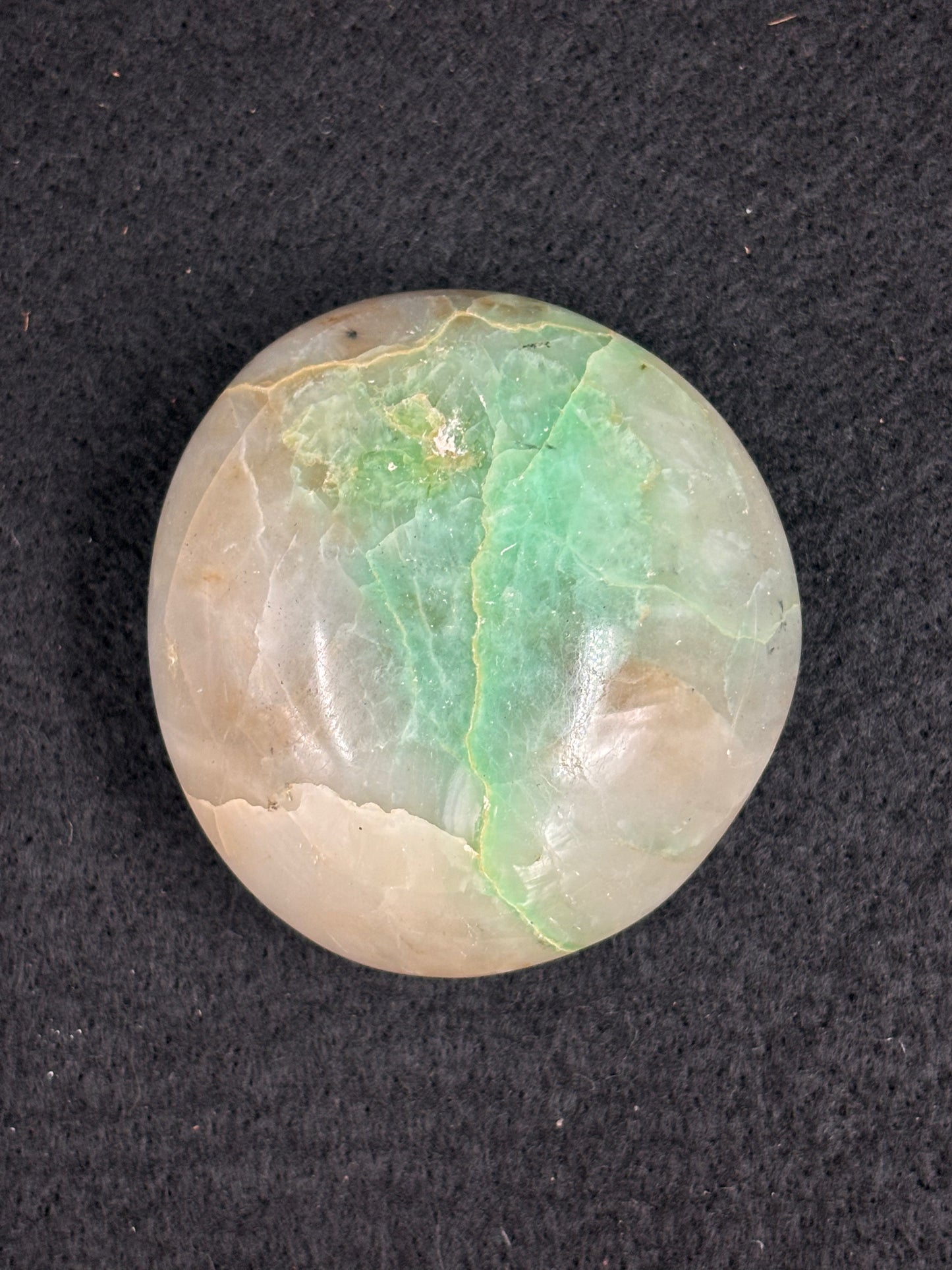 Palma de Granierita