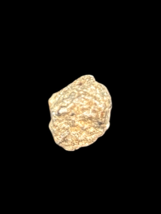 Meteorito Lunar Bechar 003