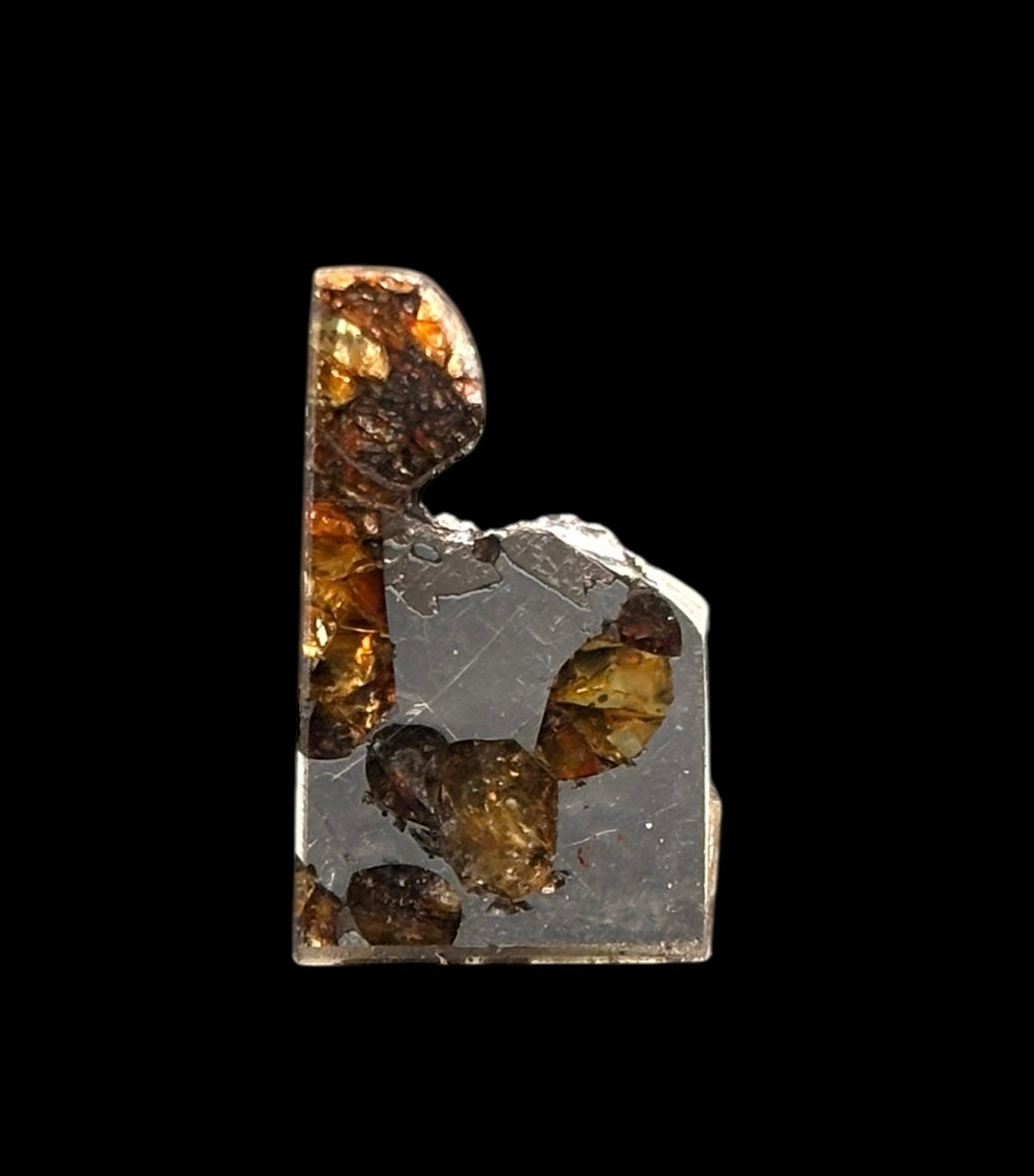 Meteorito Brahin