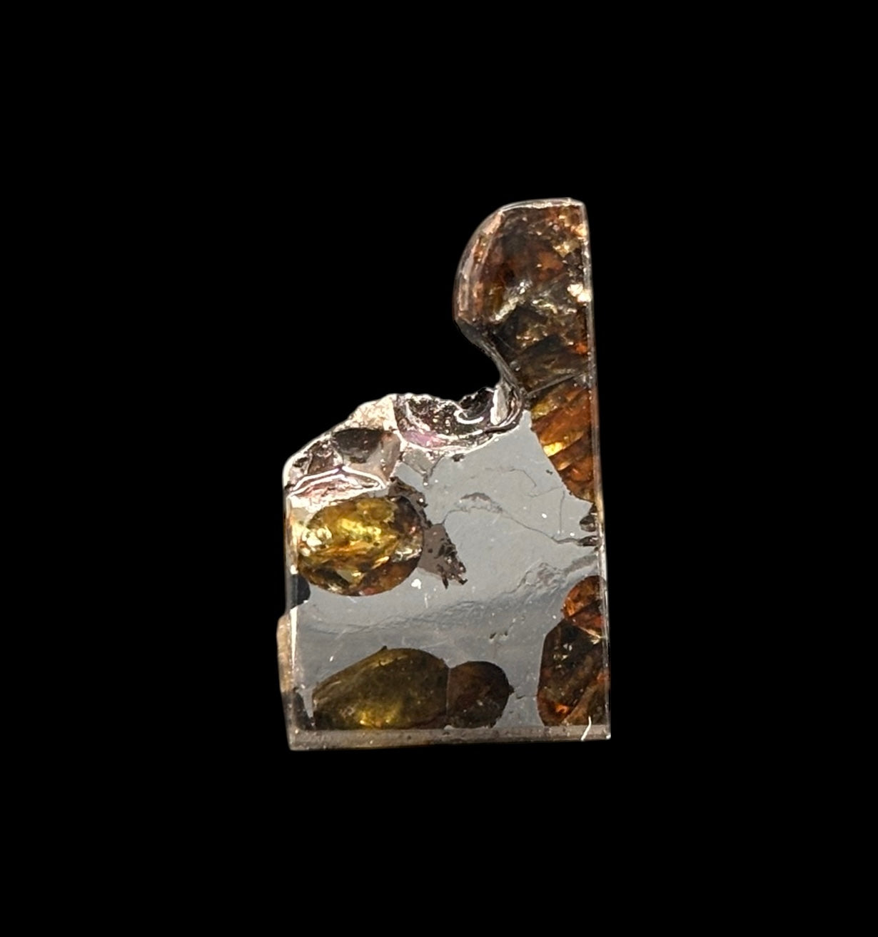 Meteorito Brahin