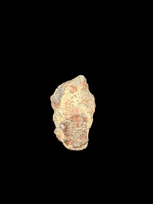 Meteorito NWA 869