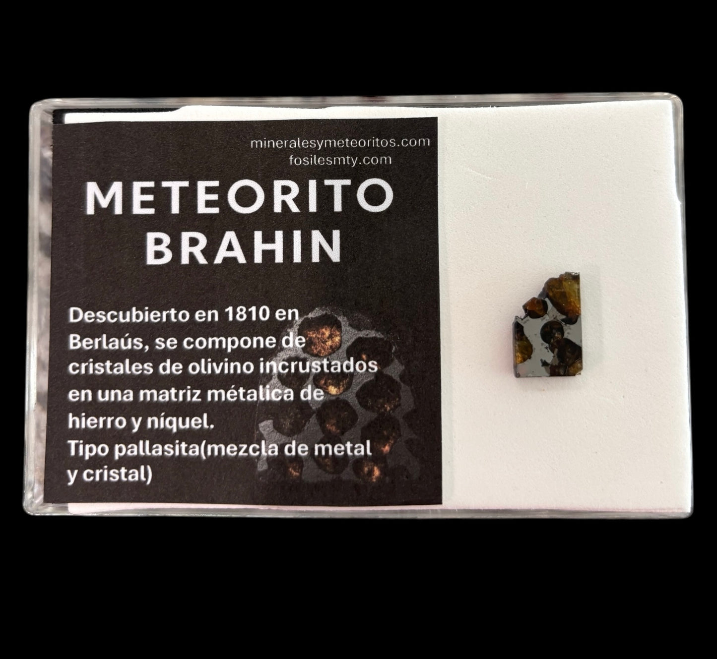 Meteorito Brahin