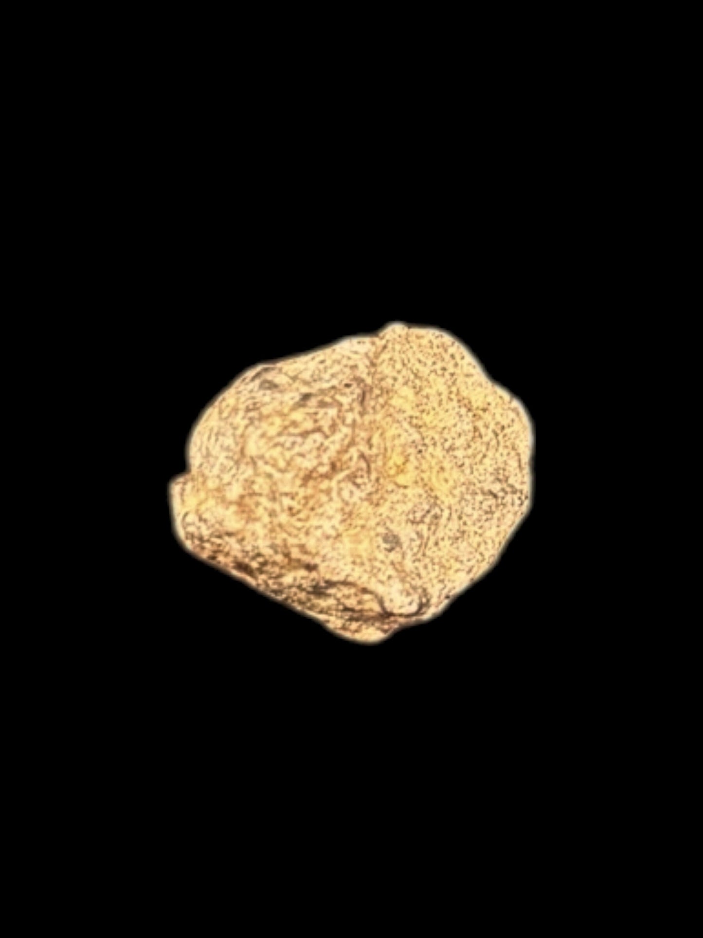 Meteorito Lunar Bechar 003